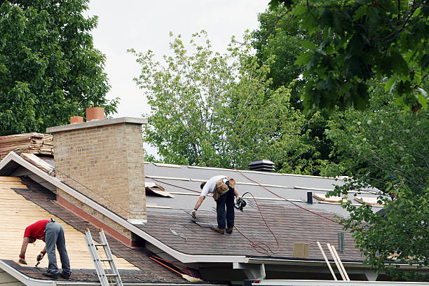Best Roof Moss and Algae Removal  in Brookfield, MO